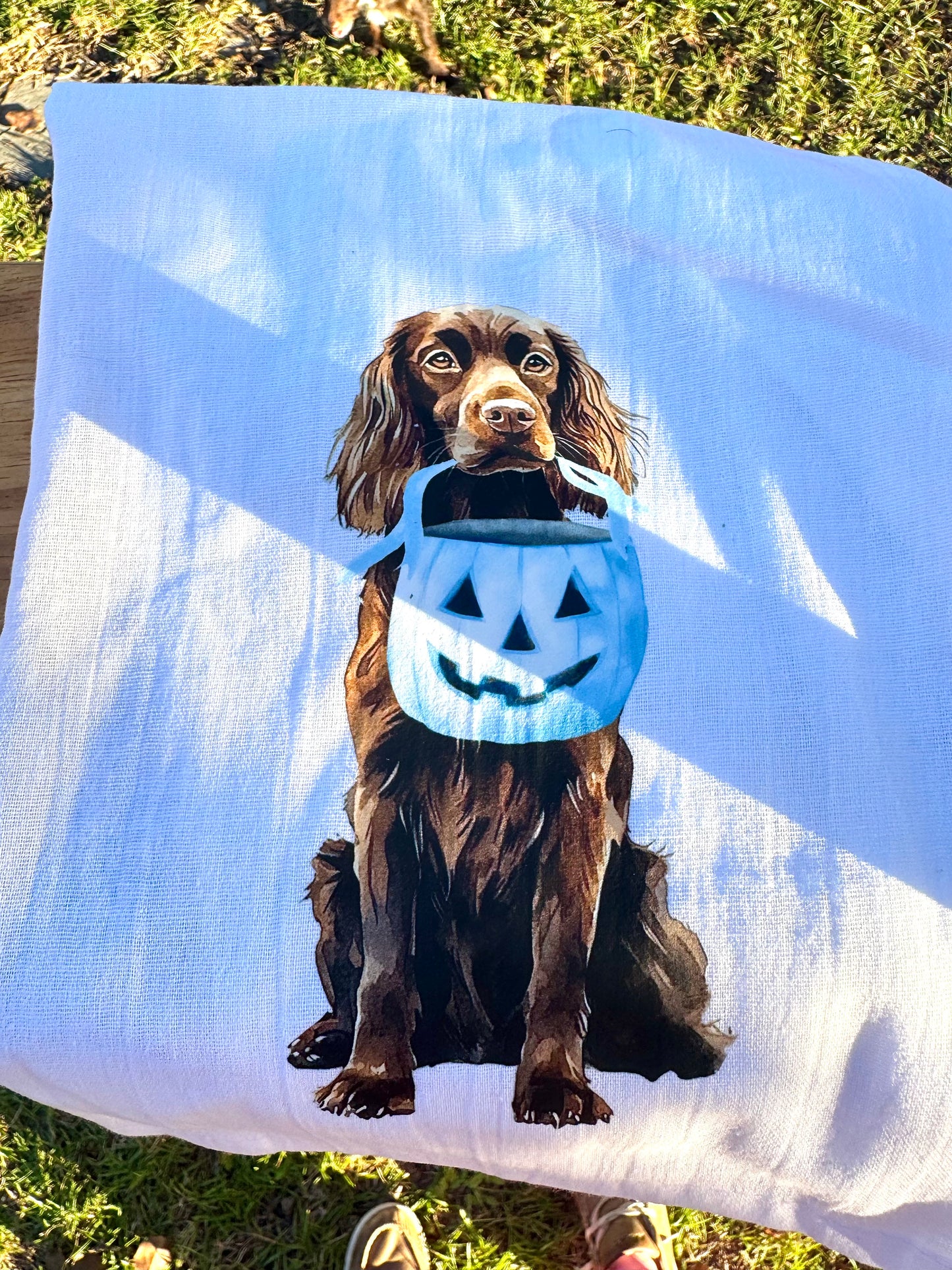 Boykin Halloween t towels