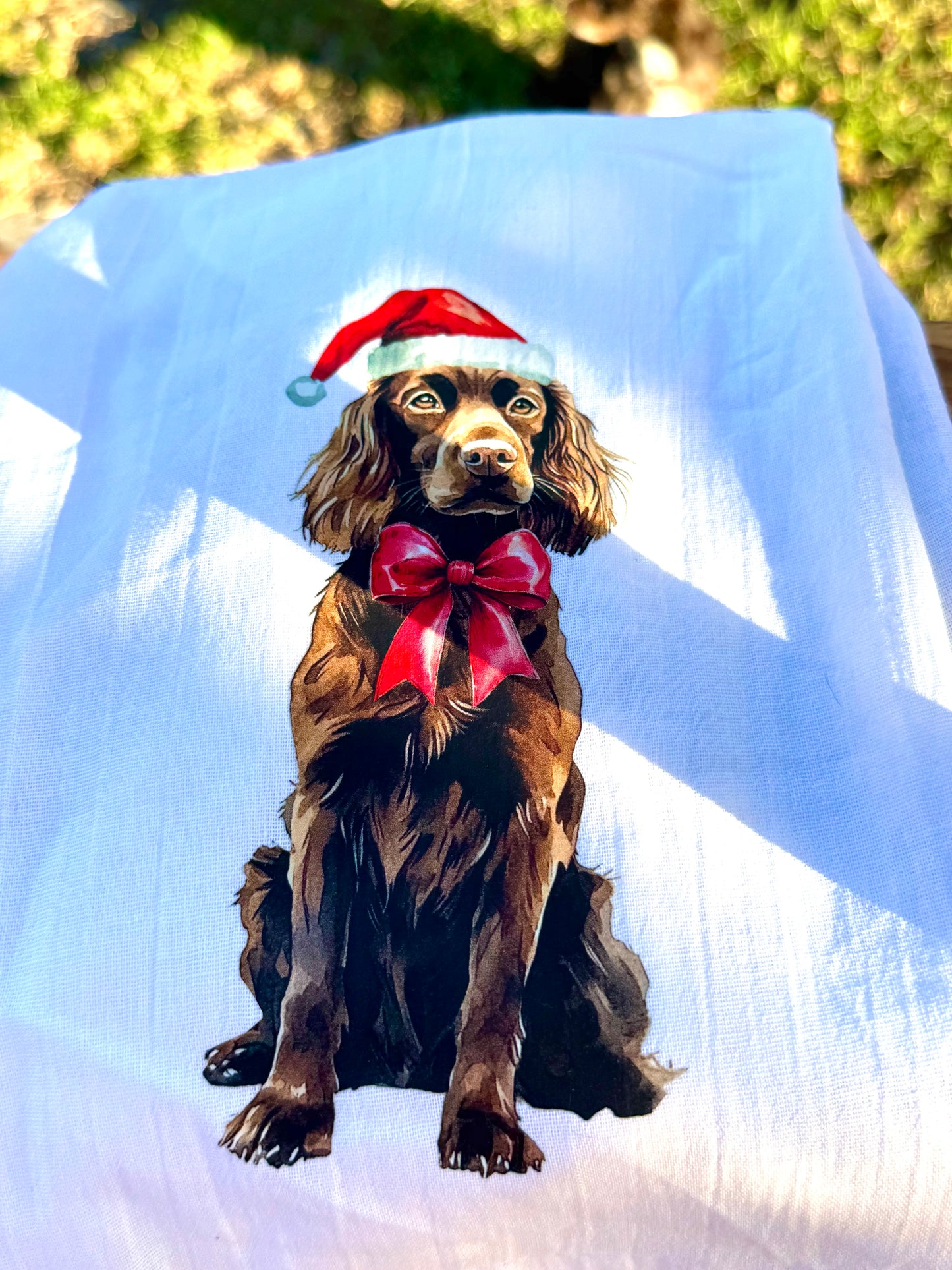 Boykin Chrsitmas towels