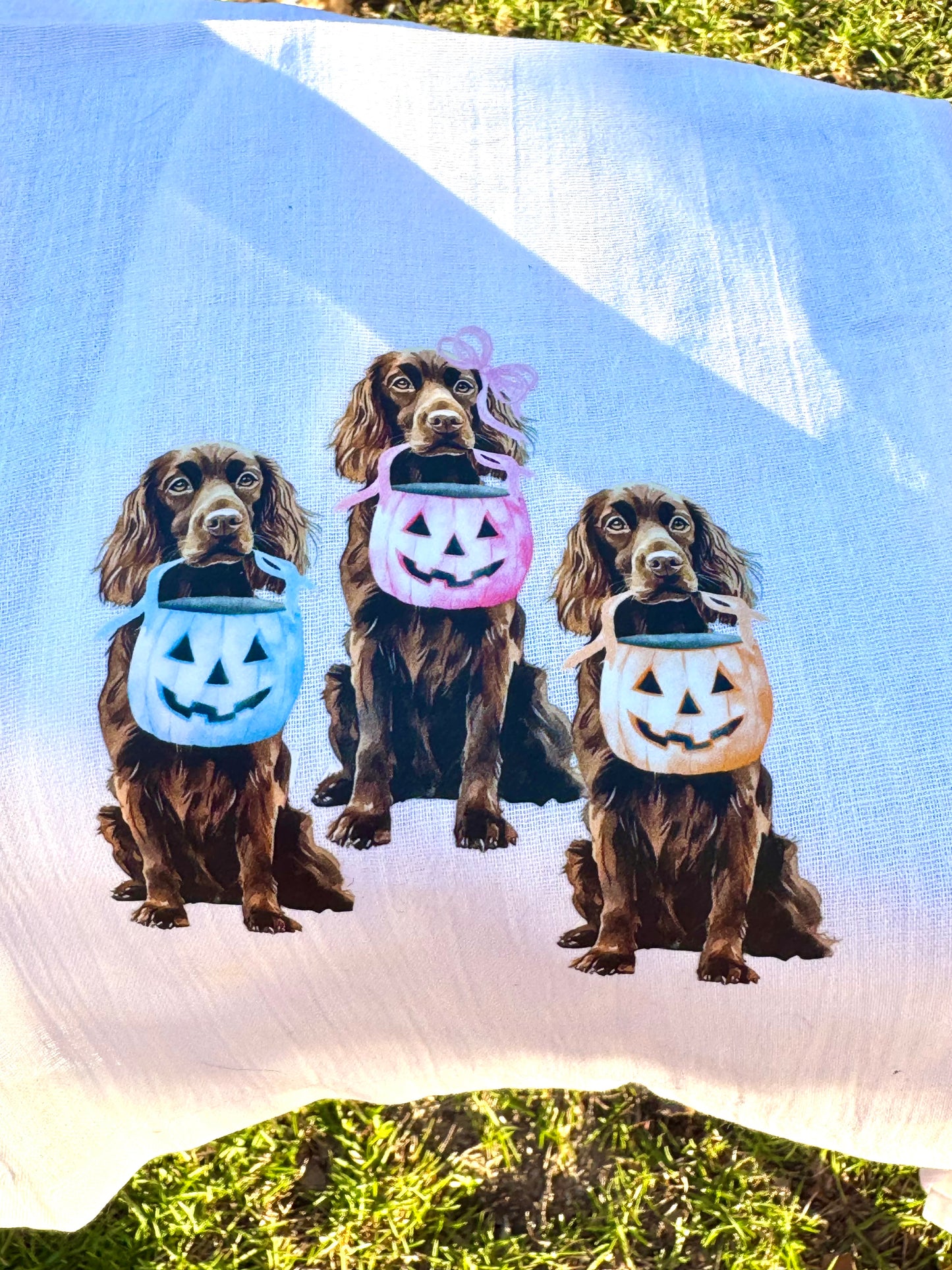 Boykin Halloween t towels