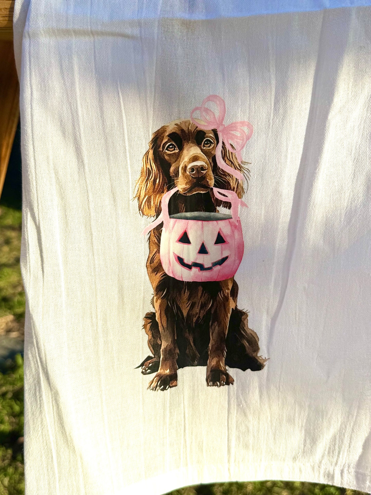 Boykin Halloween t towels
